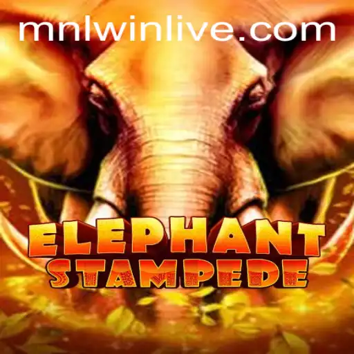 The Exciting World of ElephantStampede: A Comprehensive Guide